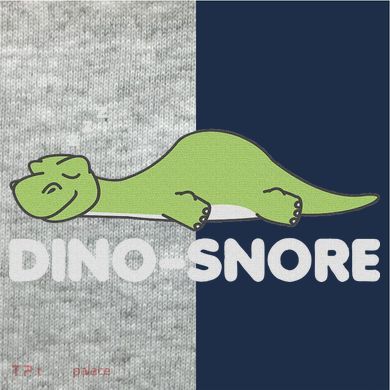 Dino Snore Pajamas Dinosaur Kids Colorblock Raglan Jersey