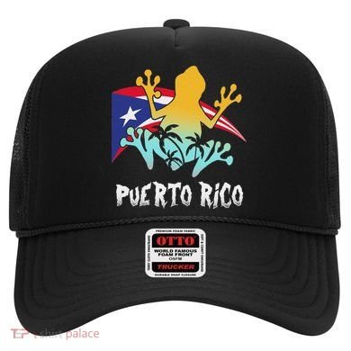 Distressed Style Puerto Rico Frog Gift Design Puerto Rico! Hat