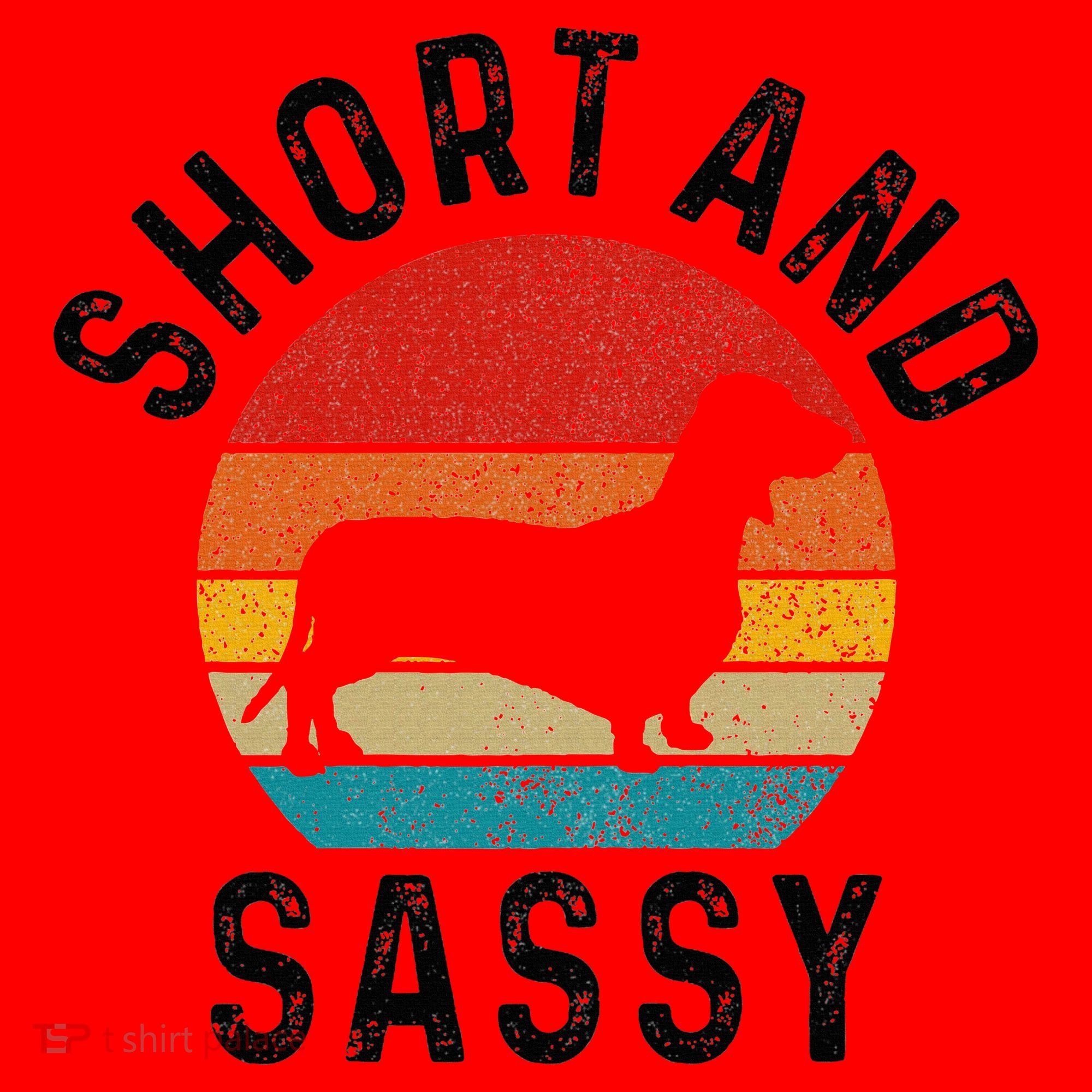 Dachshund Short & Sassy Wiener Dog Doxie Mom Funny Cute Gift Santa Hat