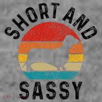 Dachshund Short & Sassy Wiener Dog Doxie Mom Funny Cute Gift Toddler Hoodie thumb 2
