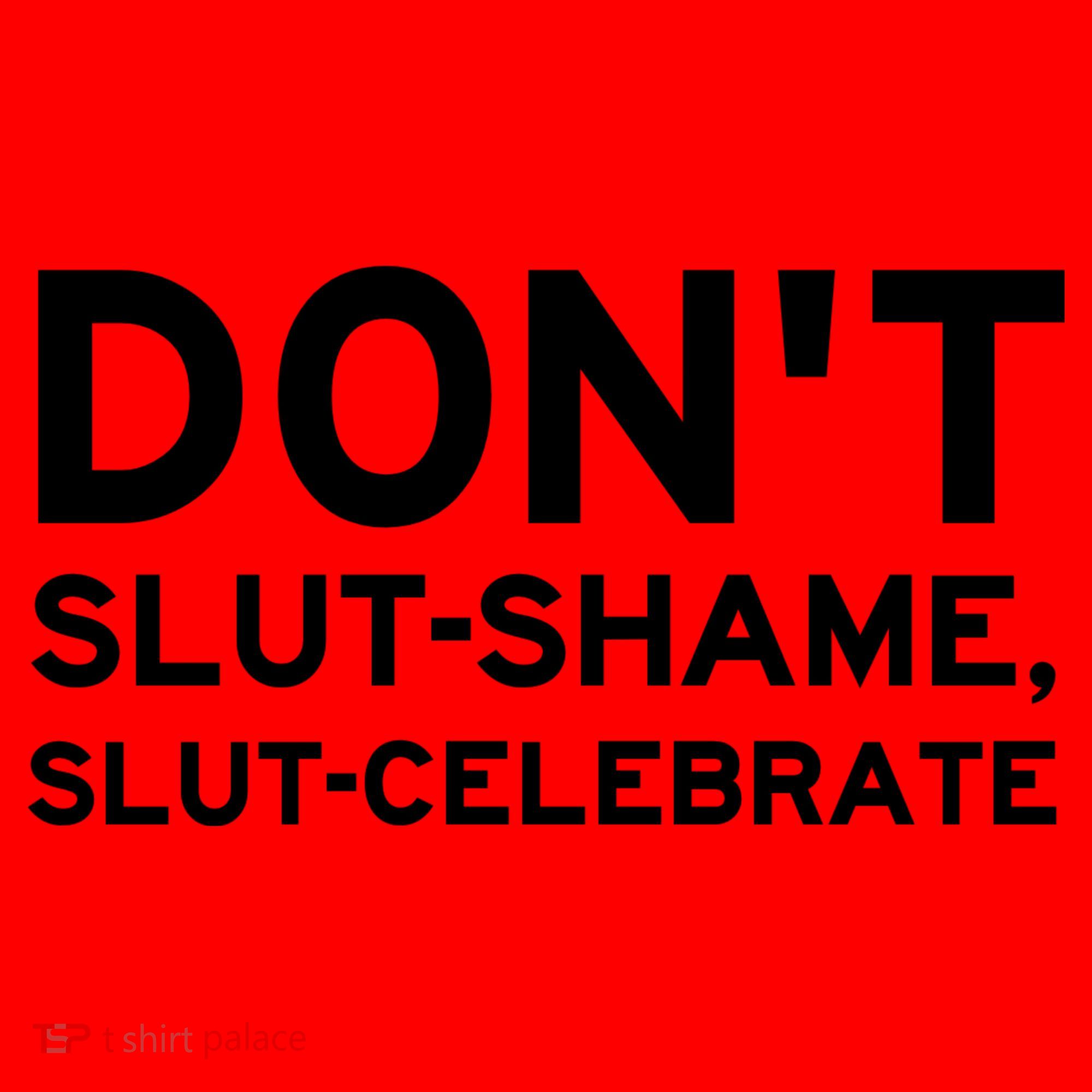 Don't Slut Shame, Slut Celebrate Funny Humor Santa Hat