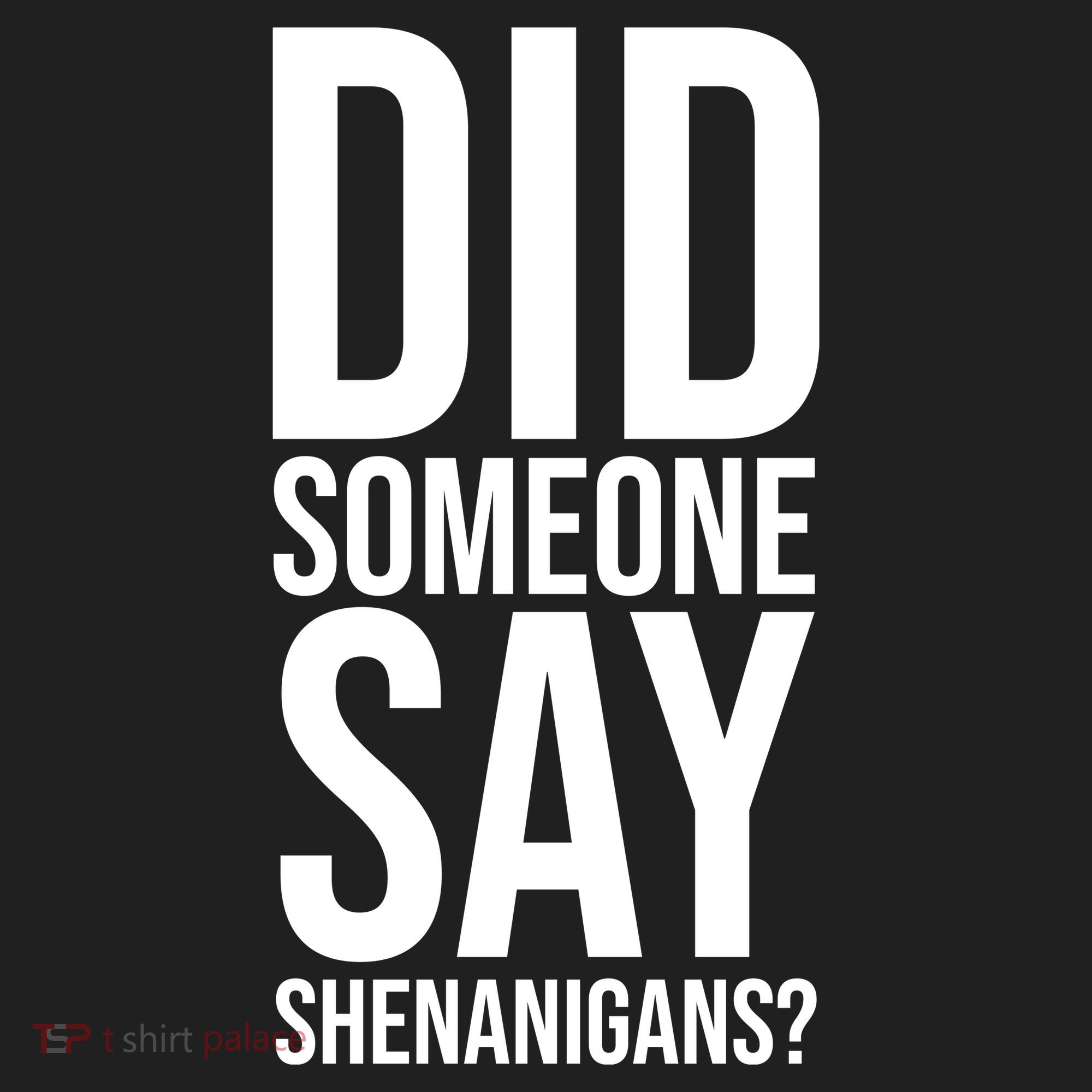 Did Someone Say Shenanigans Funny St Patricks Day Hat