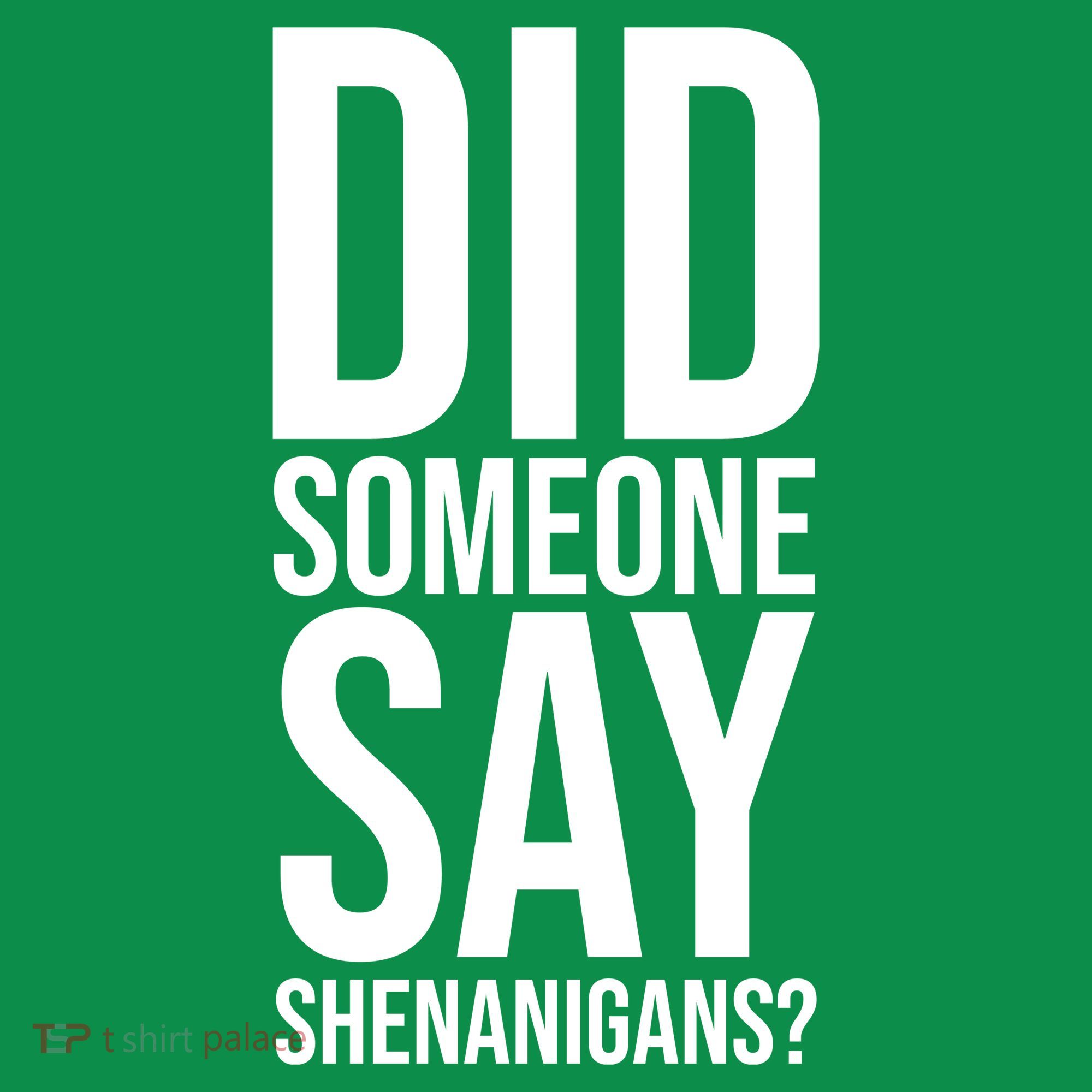 Did Someone Say Shenanigans Funny St Patricks Day Hoodie