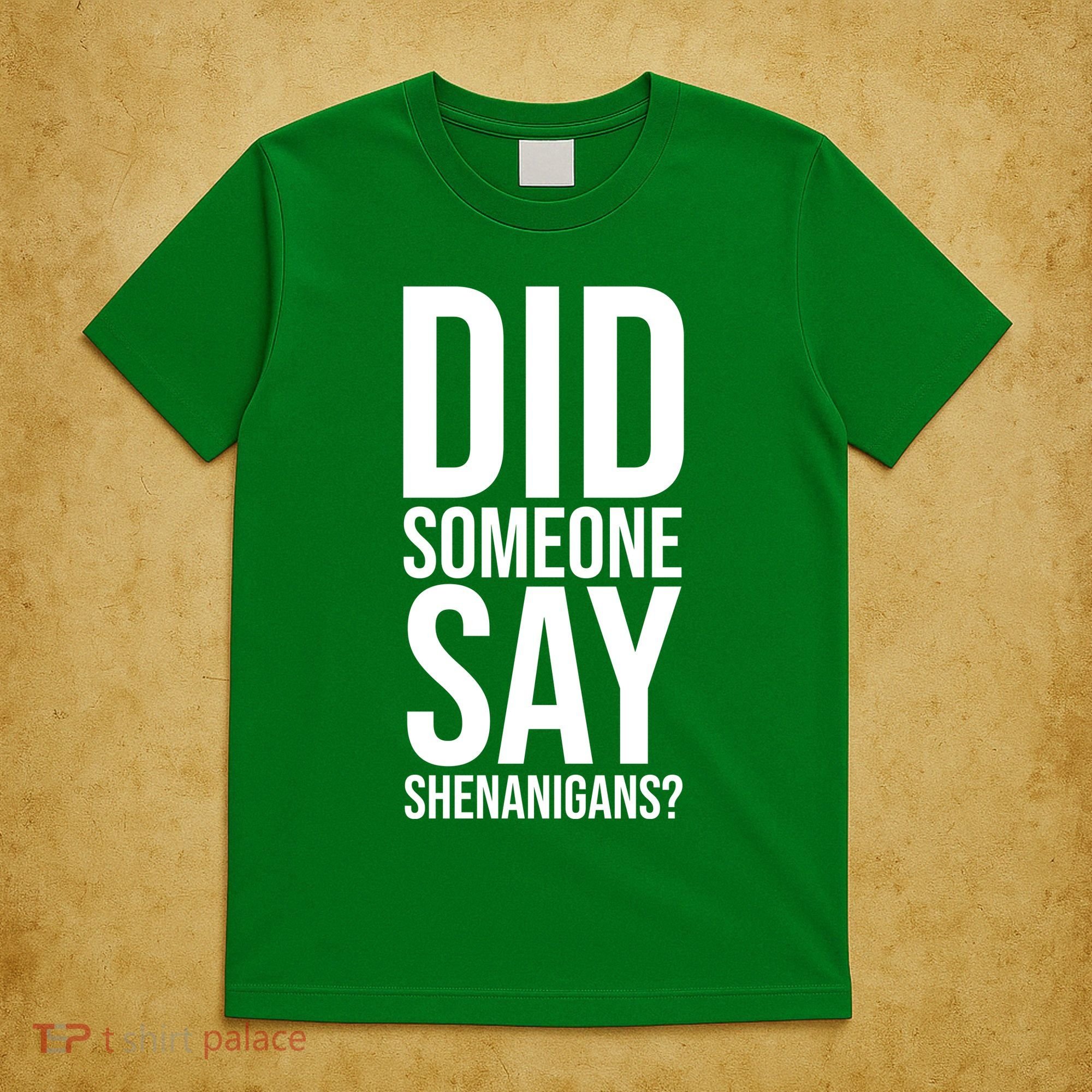 Did Someone Say Shenanigans Funny St Patricks Day T-Shirt