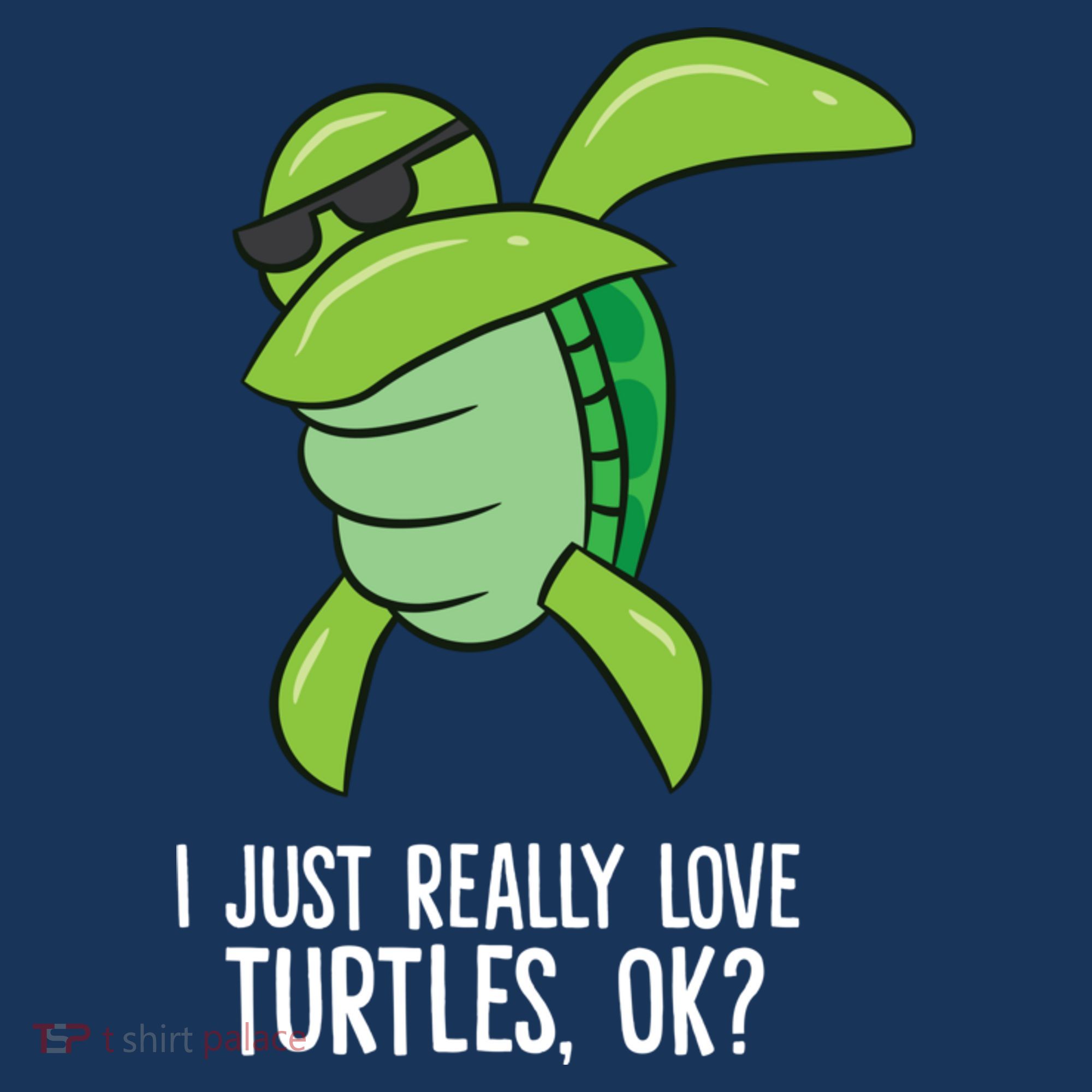 Dabbing Sea Turtle I Just Really Love Turtles Ok? Kids T-Shirt