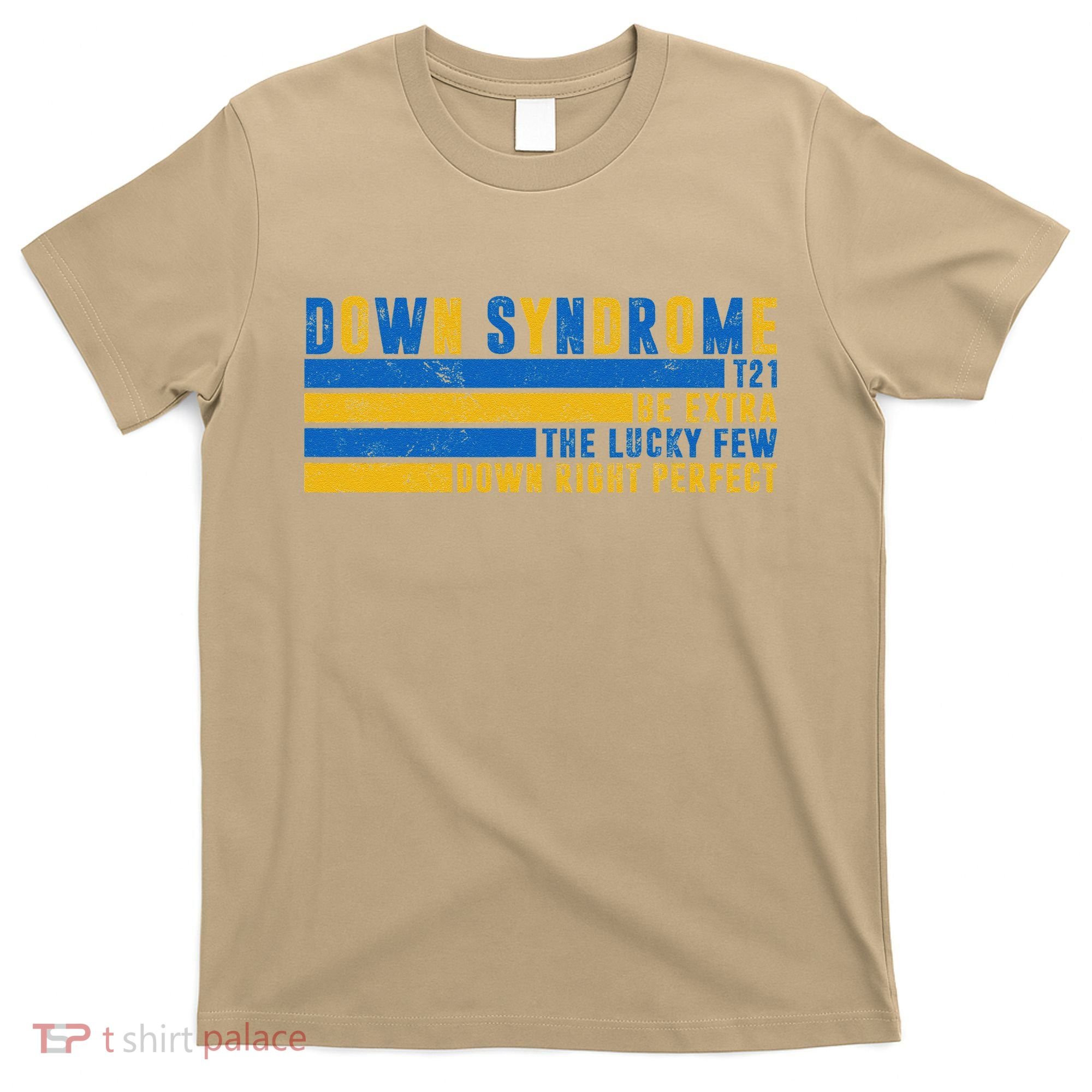Down Syndrome T21 Be Extra The Lucky Few Down Right Perfect T-Shirt