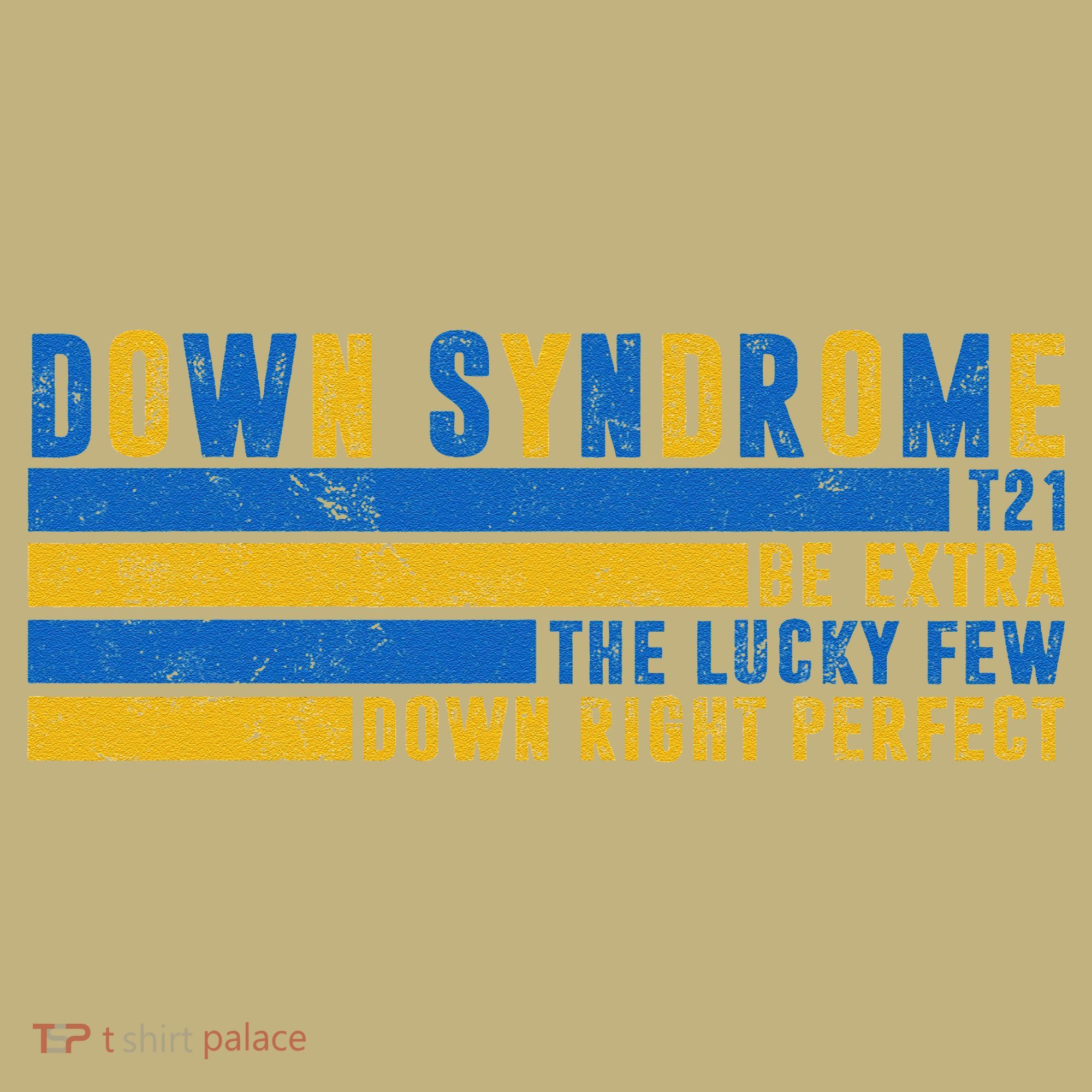 Down Syndrome T21 Be Extra The Lucky Few Down Right Perfect T-Shirt