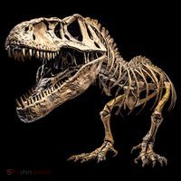 Dinosaur Skeleton T Rex Dino Scary Funny Gift Backpack thumb 2