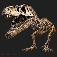 Dinosaur Skeleton T Rex Dino Scary Funny Gift Golf Towel thumb 3