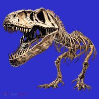 Dinosaur Skeleton T Rex Dino Scary Funny Gift Women's Tank Top thumb 5