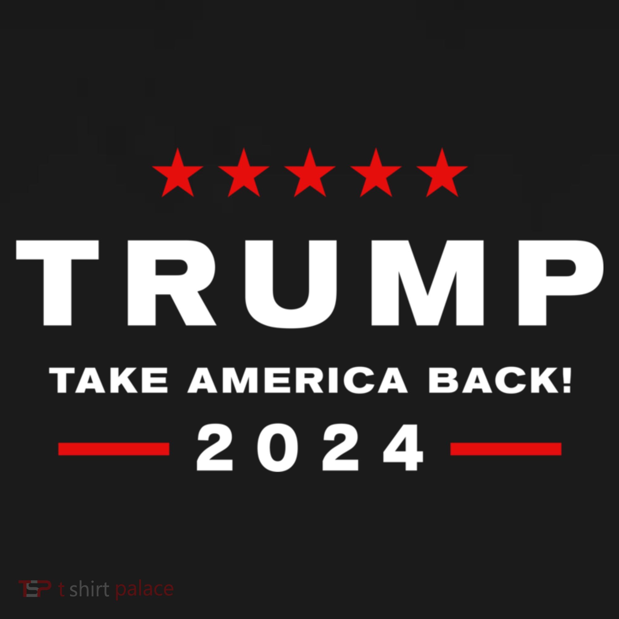 Donald Trump 2024 Take America Back Election The Return T-Shirt