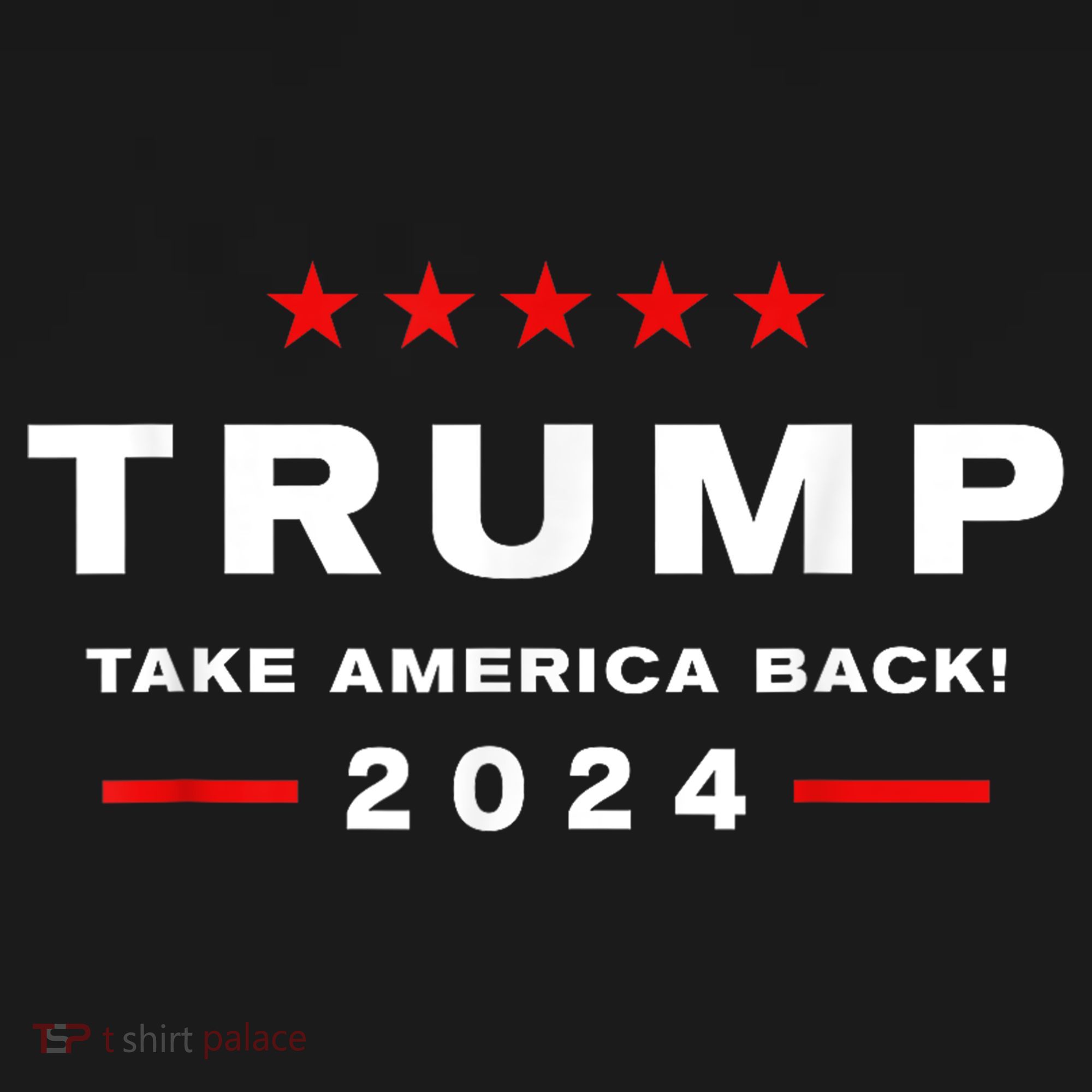 Donald Trump 2024 Take America Back Election The Return T-Shirt