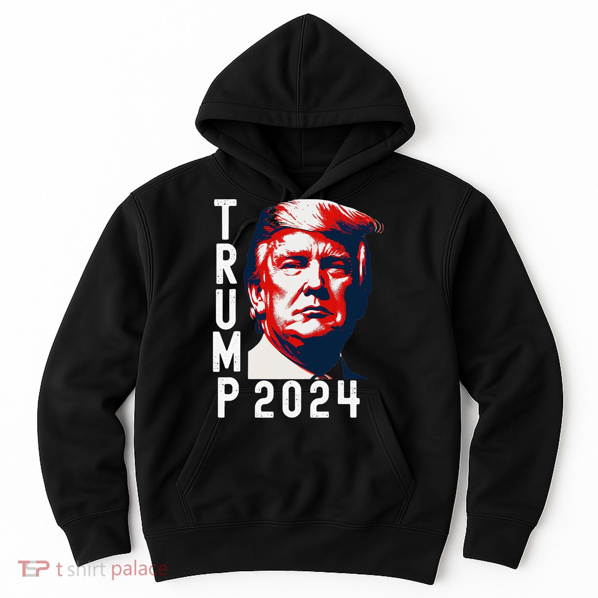 Donald Trump 2024 Take America Back Election 2024 Hoodie