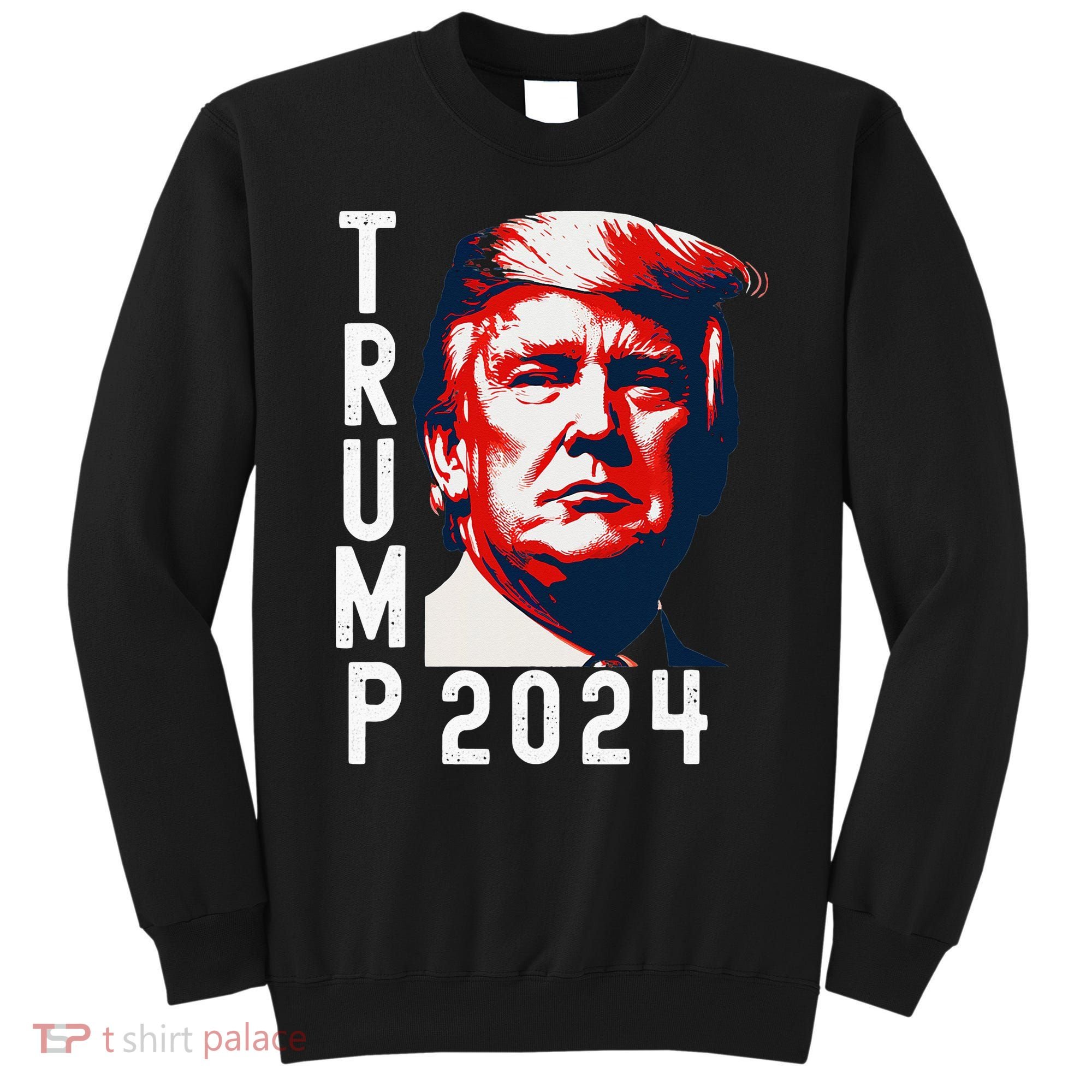 Donald Trump 2024 Take America Back Election 2024 Sweatshirt