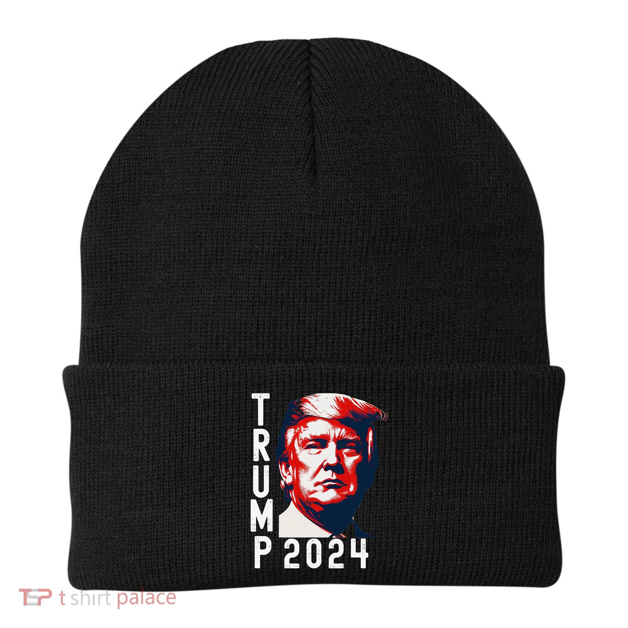 Donald Trump 2024 Take America Back Election 2024 Beanie