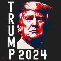 Donald Trump 2024 Take America Back Election 2024 Beanie thumb 2