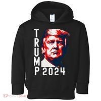 Donald Trump 2024 Take America Back Election 2024 Toddler Hoodie thumb 0