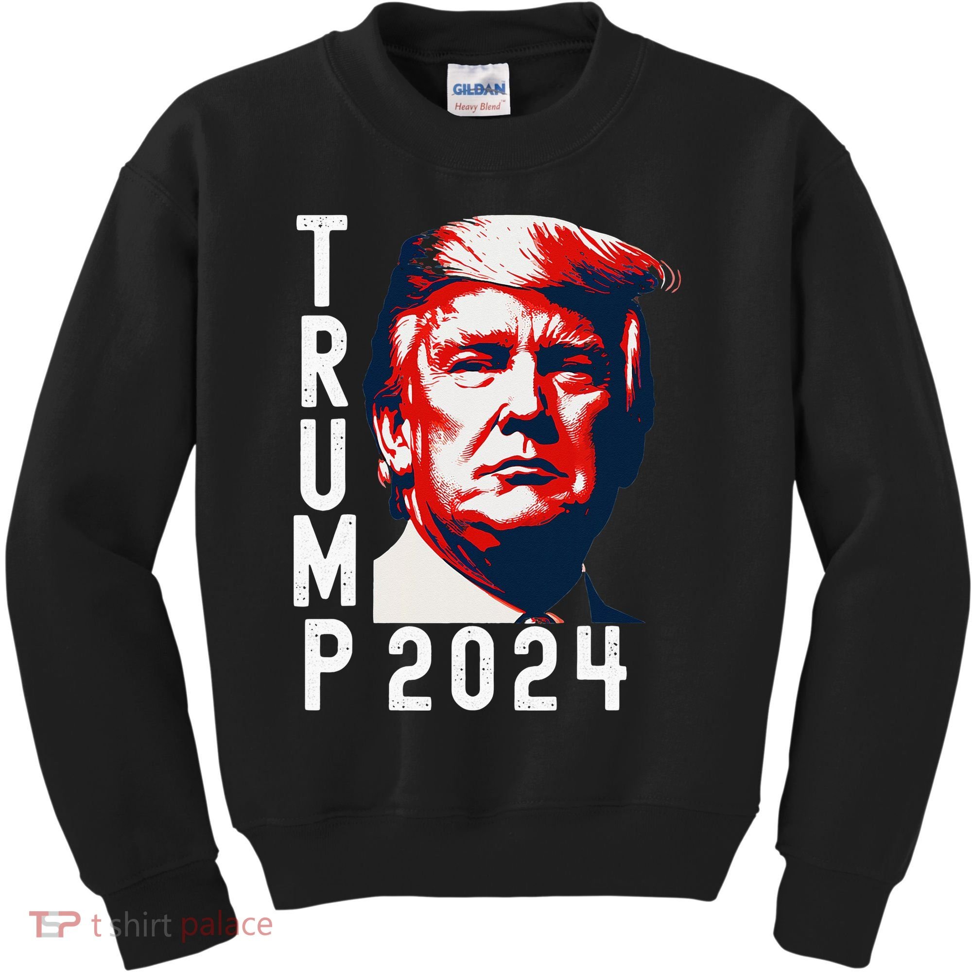 Donald Trump 2024 Take America Back Election 2024 Kids Sweatshirt
