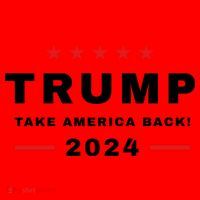 Trump 2024 Take America Back Election Santa Hat thumb 1