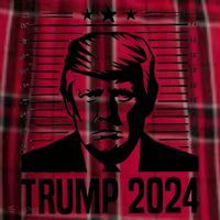 Donald Trump 2024 Mugshot Men's Flannel Plaid Pajama Pants thumb 2