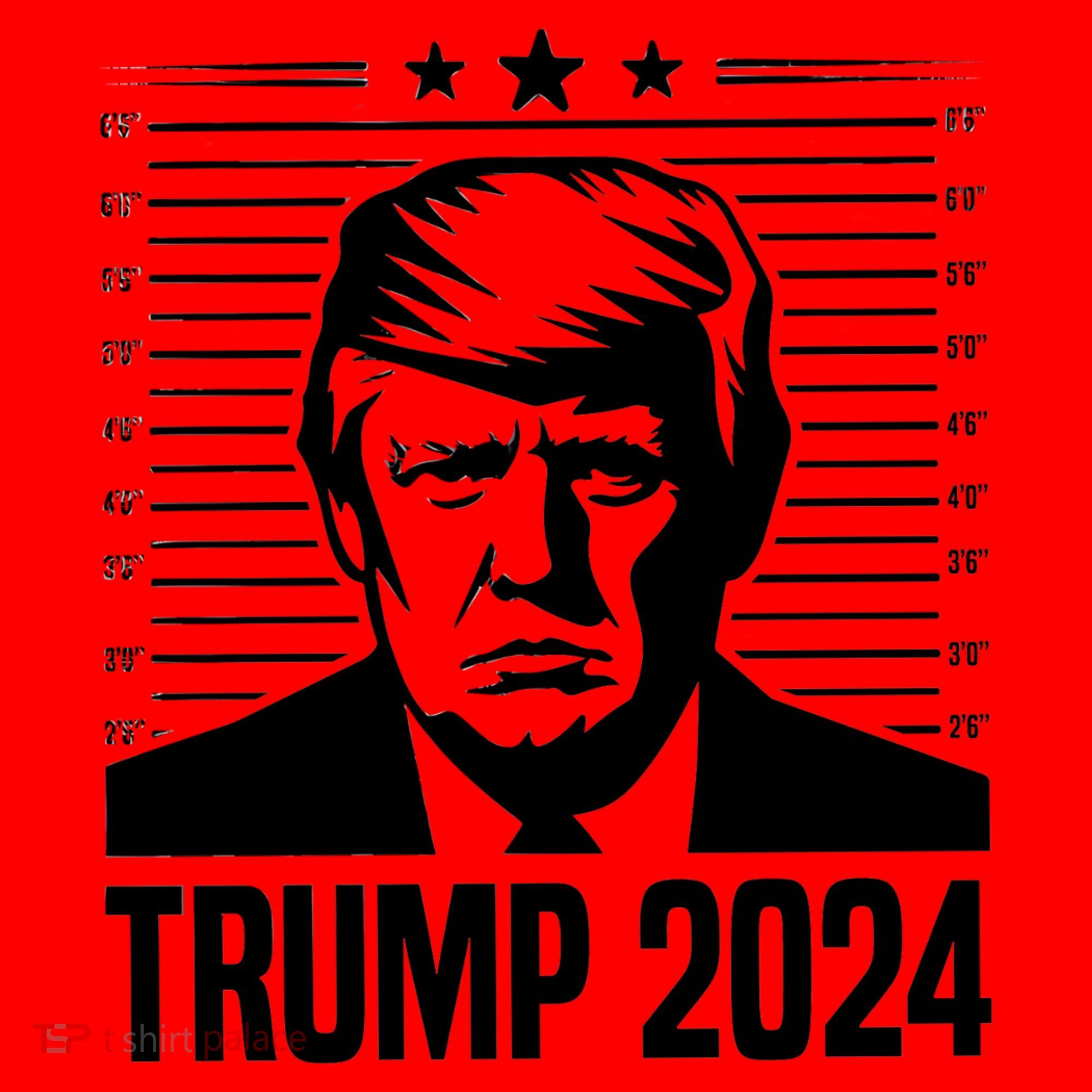 Donald Trump 2024 Mugshot Santa Hat