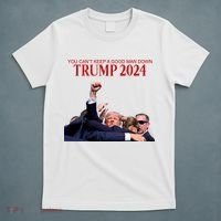 Donald Trump 2024 You CanT Keep A Good Man Down T-Shirt thumb 5