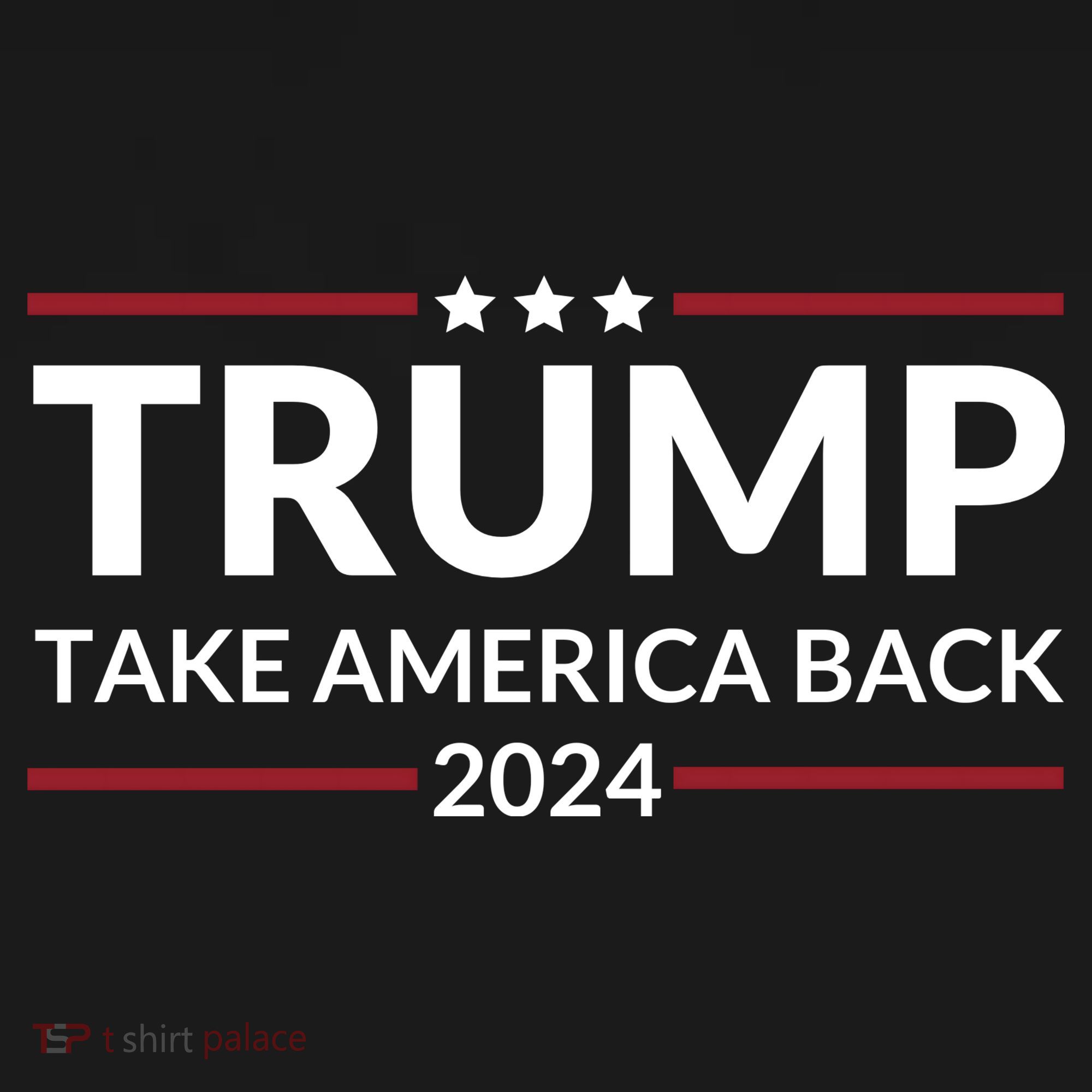Donald Trump 2024 Take America Back USA United States Women's Hoodie