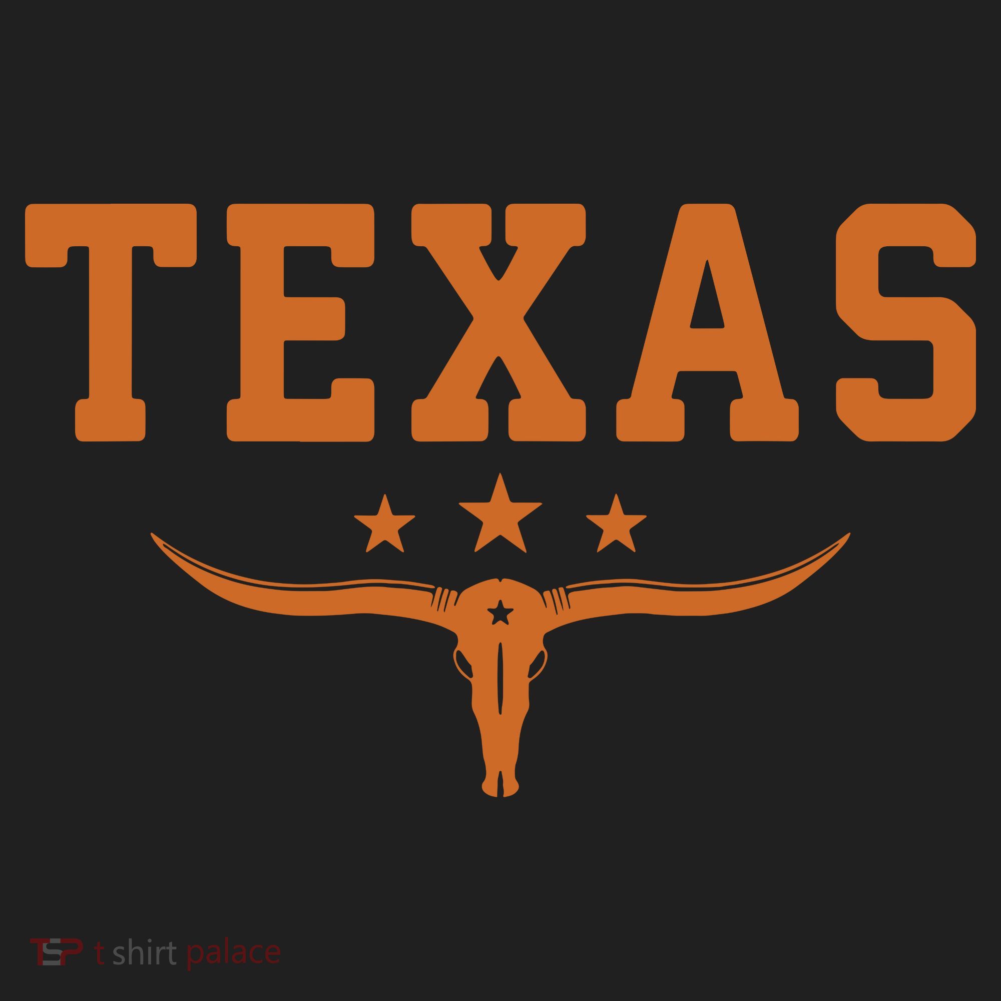 Distressed Texas Apparel Beanie