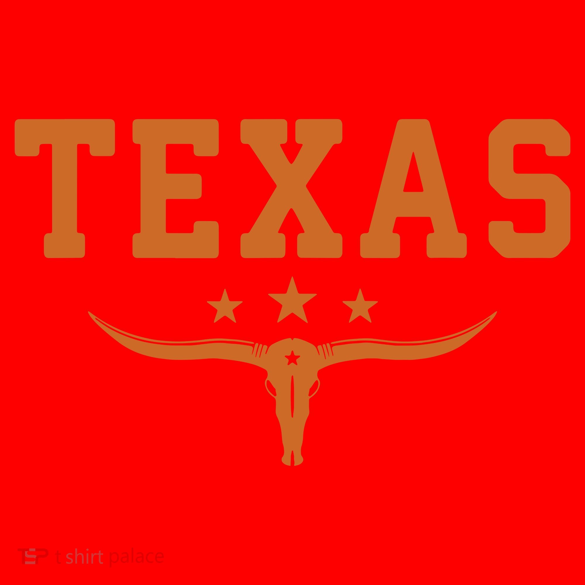 Distressed Texas Apparel Santa Hat