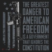 Danger To American Freedom Pro Gun 2nd Amendment Beanie thumb 2