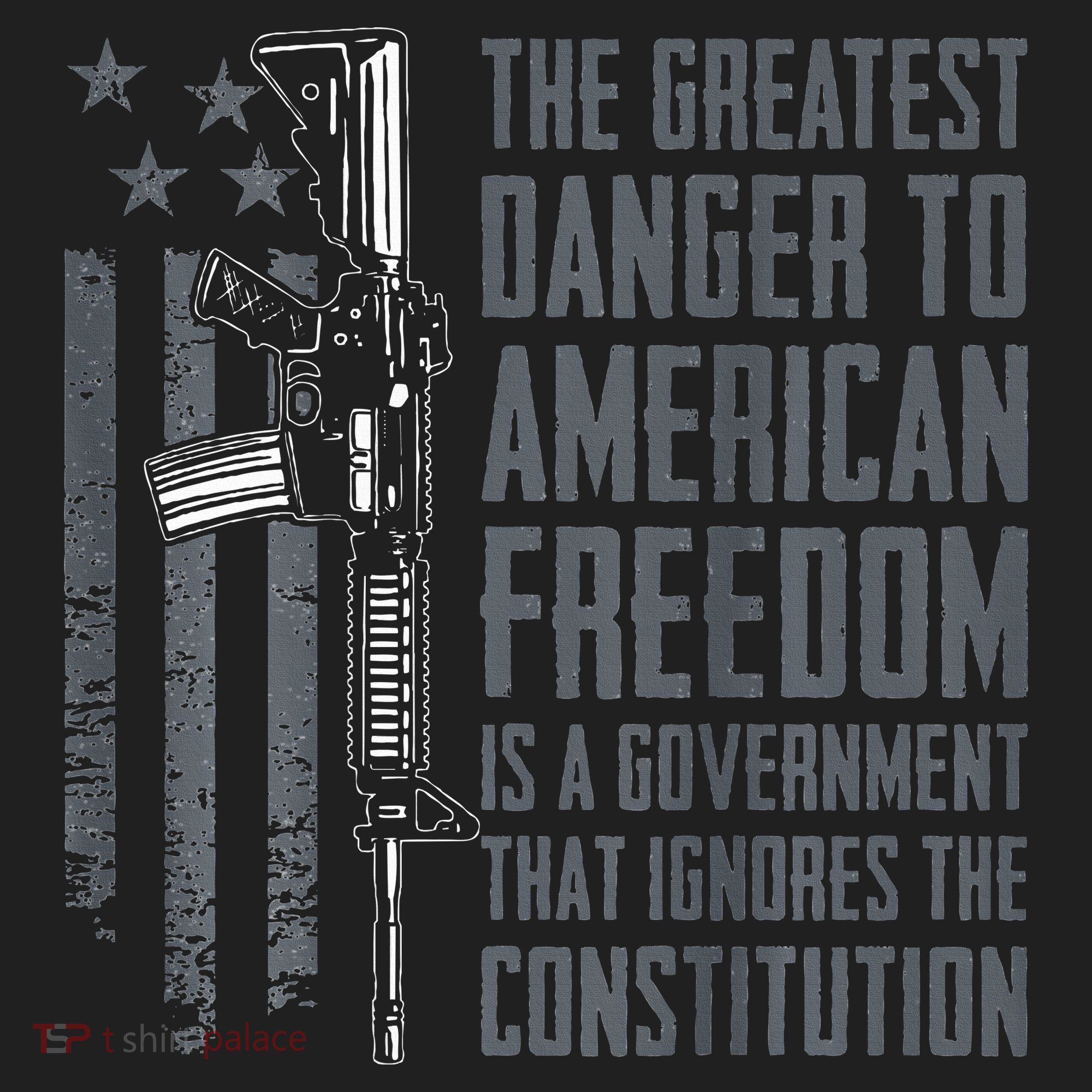 Danger To American Freedom Pro Gun 2nd Amendment Beanie