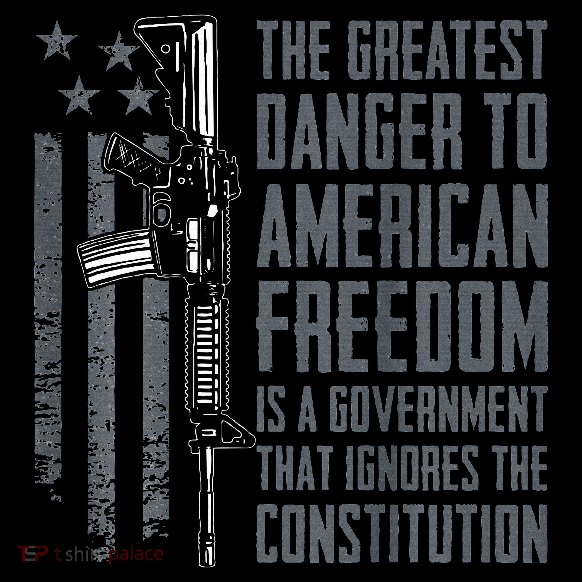 Danger To American Freedom Pro Gun 2nd Amendment Women's Hoodie