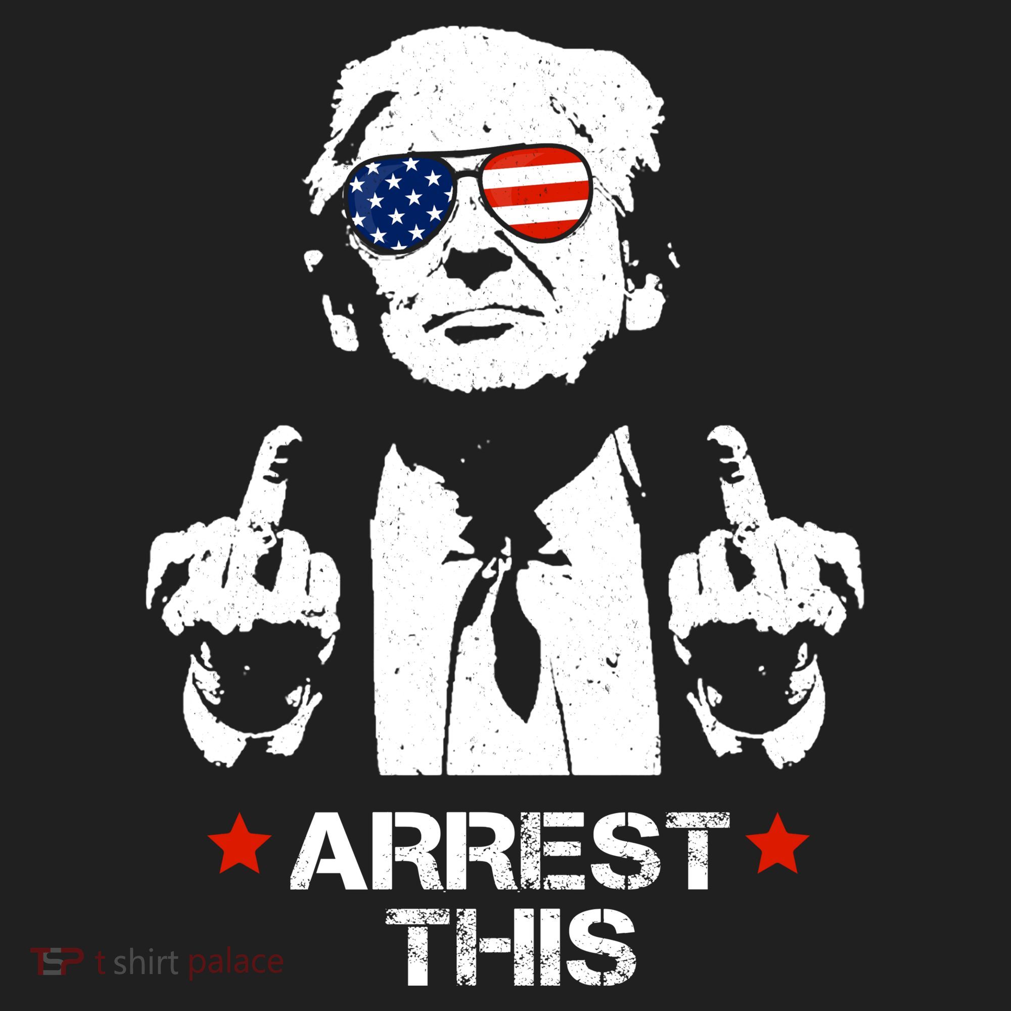 Donald Trump Arrest This Funny 2024 Election Beanie