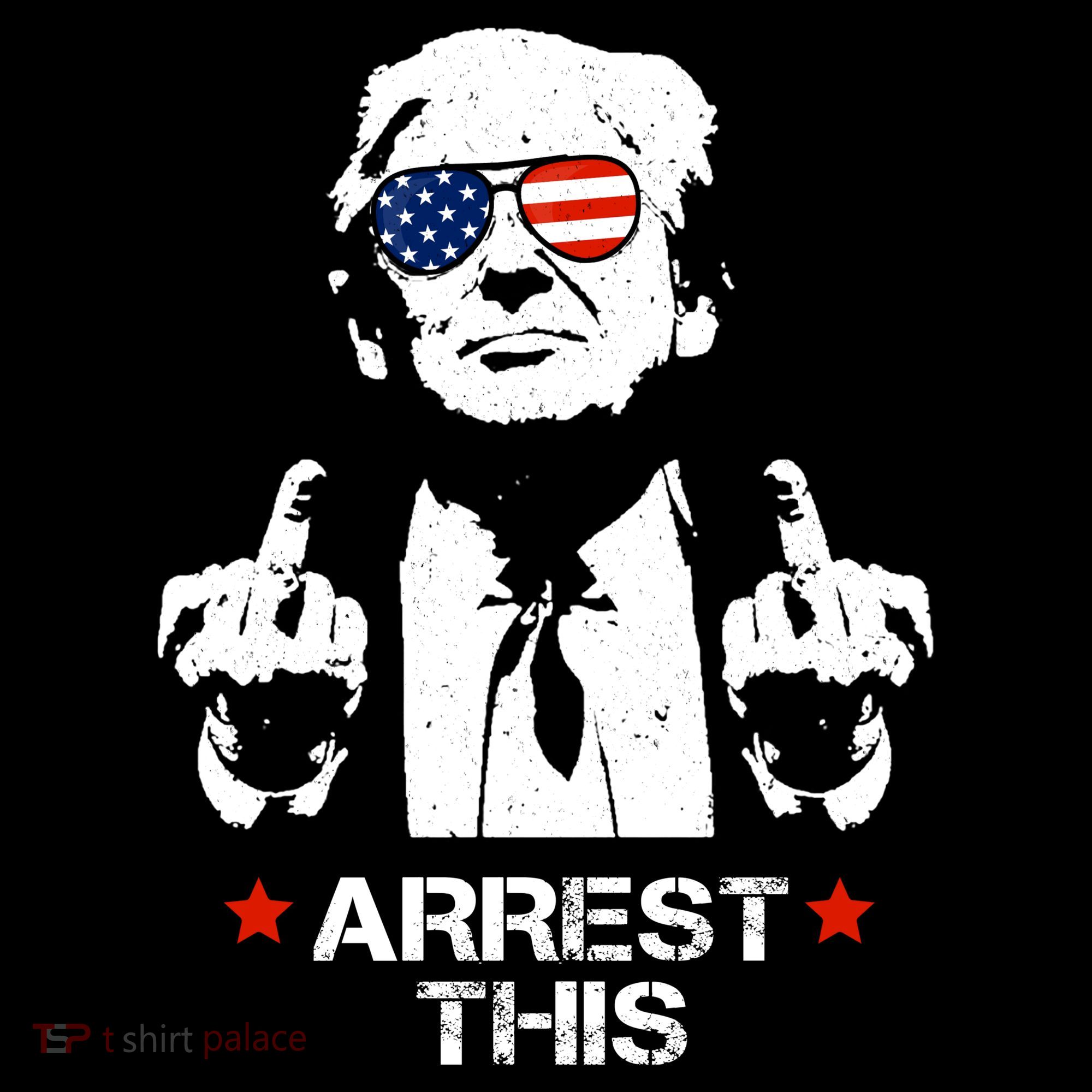Donald Trump Arrest This Funny 2024 Election Women's Hoodie