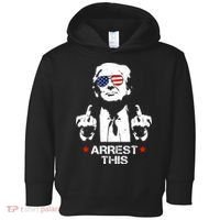 Donald Trump Arrest This Funny 2024 Election Toddler Hoodie thumb 0