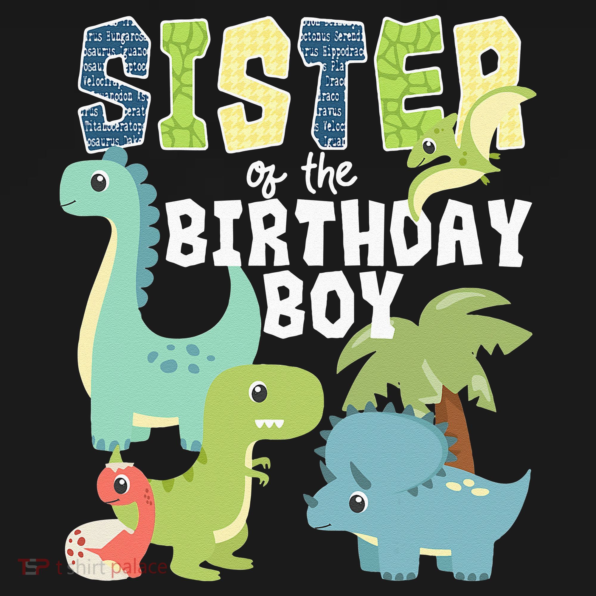 Dinosaurs Theme Birthday Sister Of The Birthday Boy Dinosaur Women's Hoodie