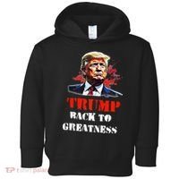 Donald Trump Back To Greatness President Trump 2024 Toddler Hoodie thumb 0