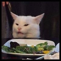 Dinner Table Cat Meme Funny Internet Yelling Confused Gift TShirt Bucket Hat thumb 4