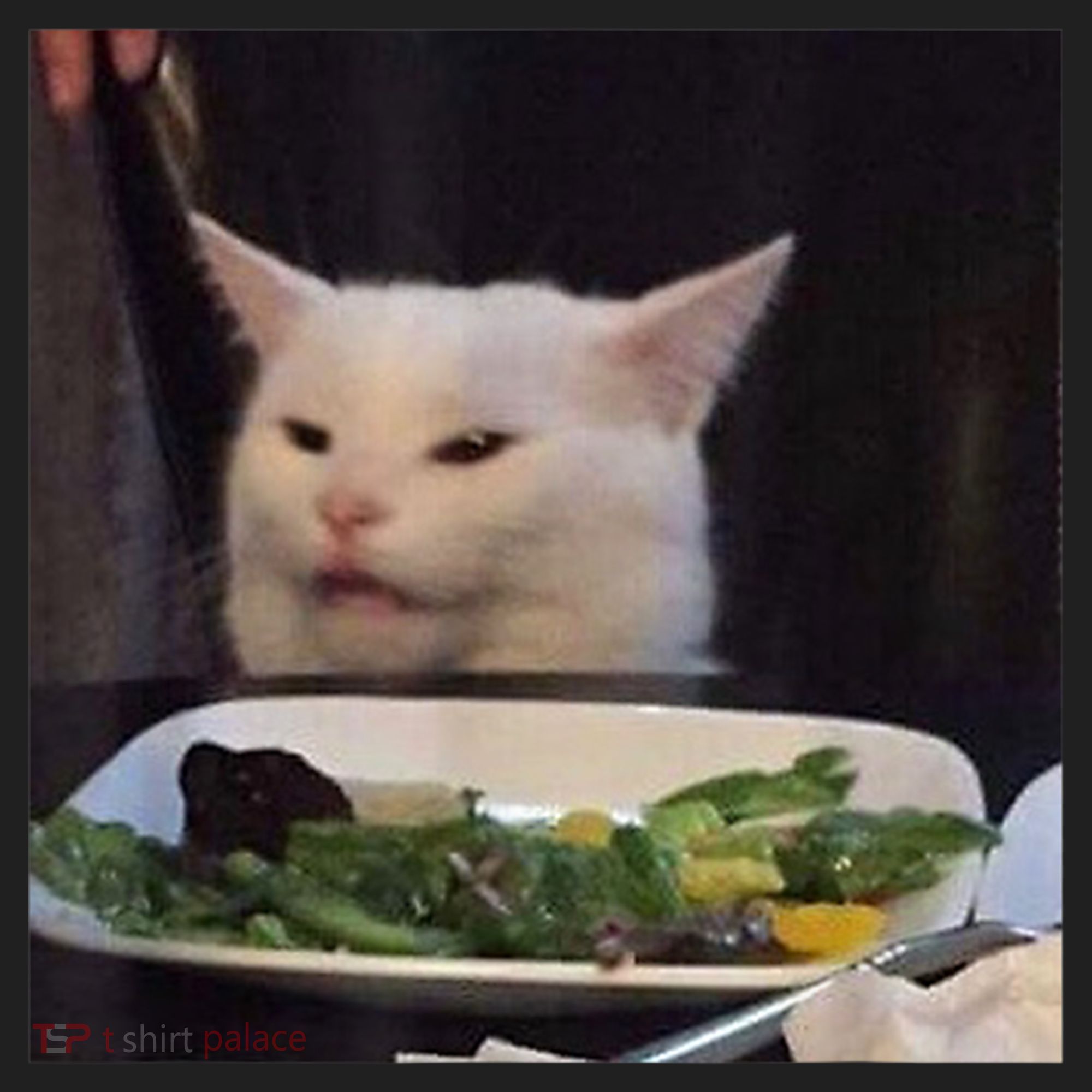Dinner Table Cat Meme Funny Internet Yelling Confused Gift TShirt Beanie