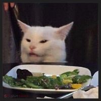 Dinner Table Cat Meme Funny Internet Yelling Confused Gift TShirt Tumbler thumb 3