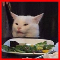 Dinner Table Cat Meme Funny Internet Yelling Confused Gift TShirt Santa Hat thumb 1