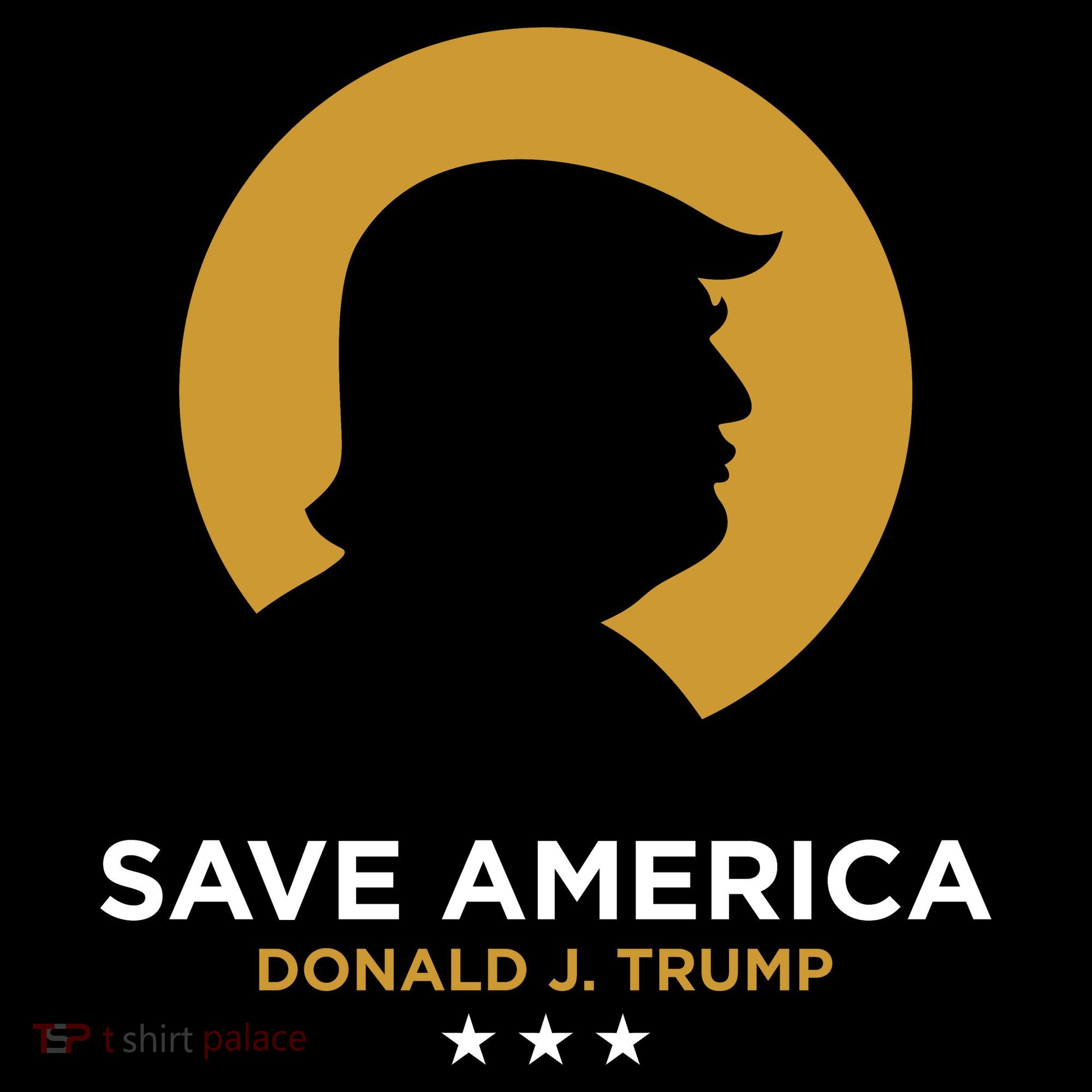 Donald Trump Classy Save America Ornament