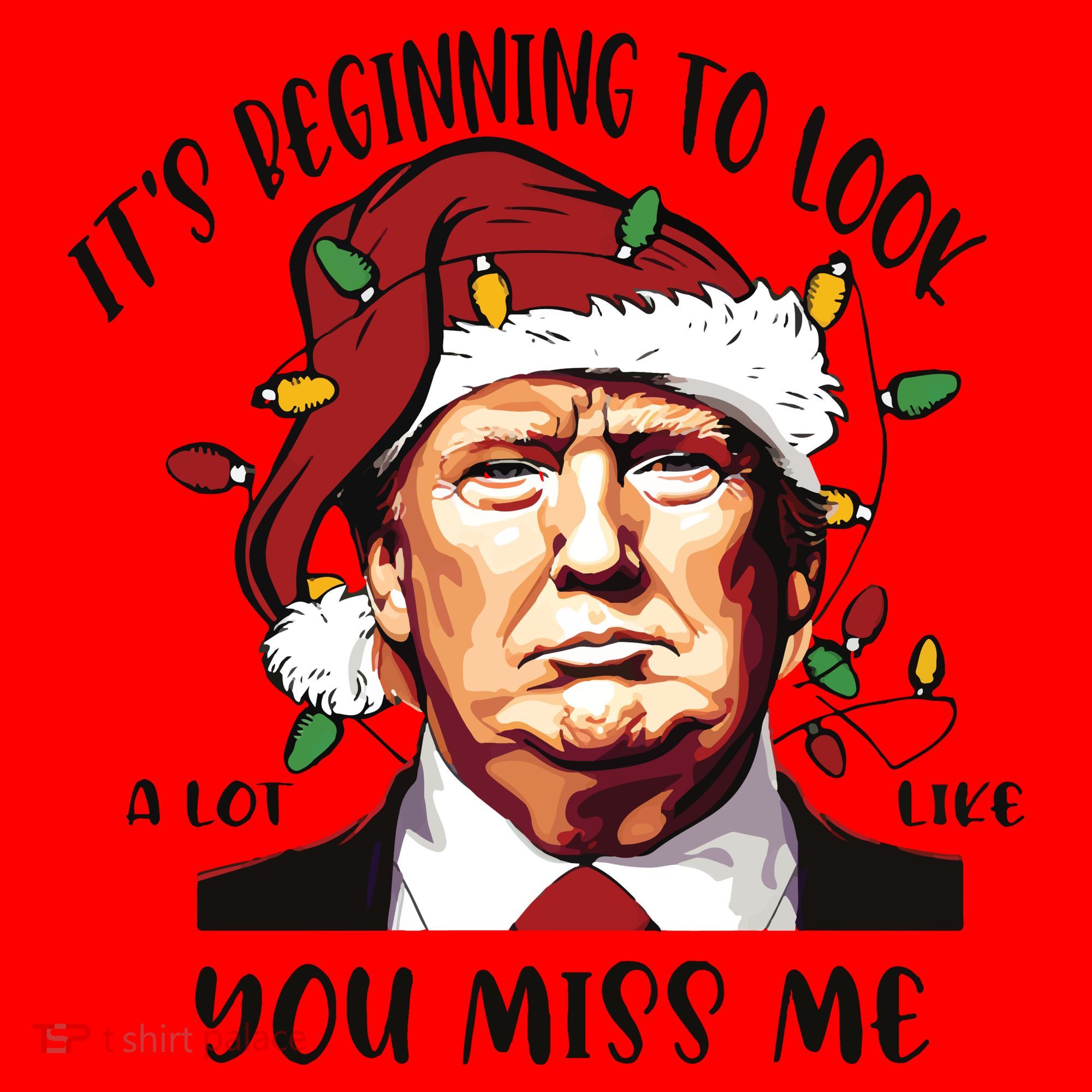 Donald Trump Christmas Santa Hat
