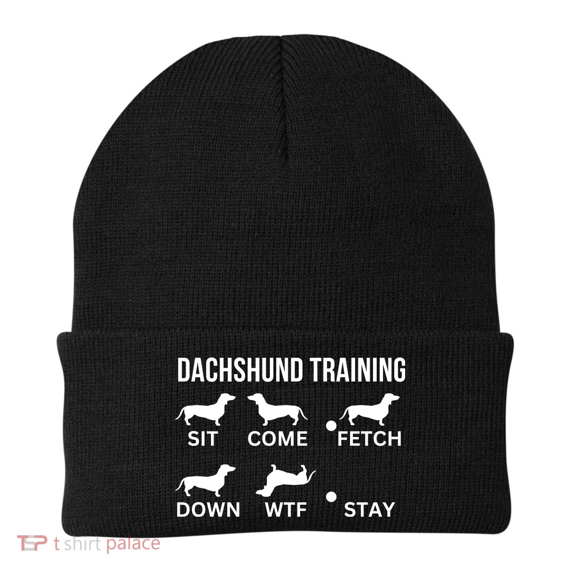 Dachshund Training Dachshund Dog Tricks Beanie