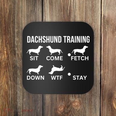 Dachshund Training Dachshund Dog Tricks Coaster