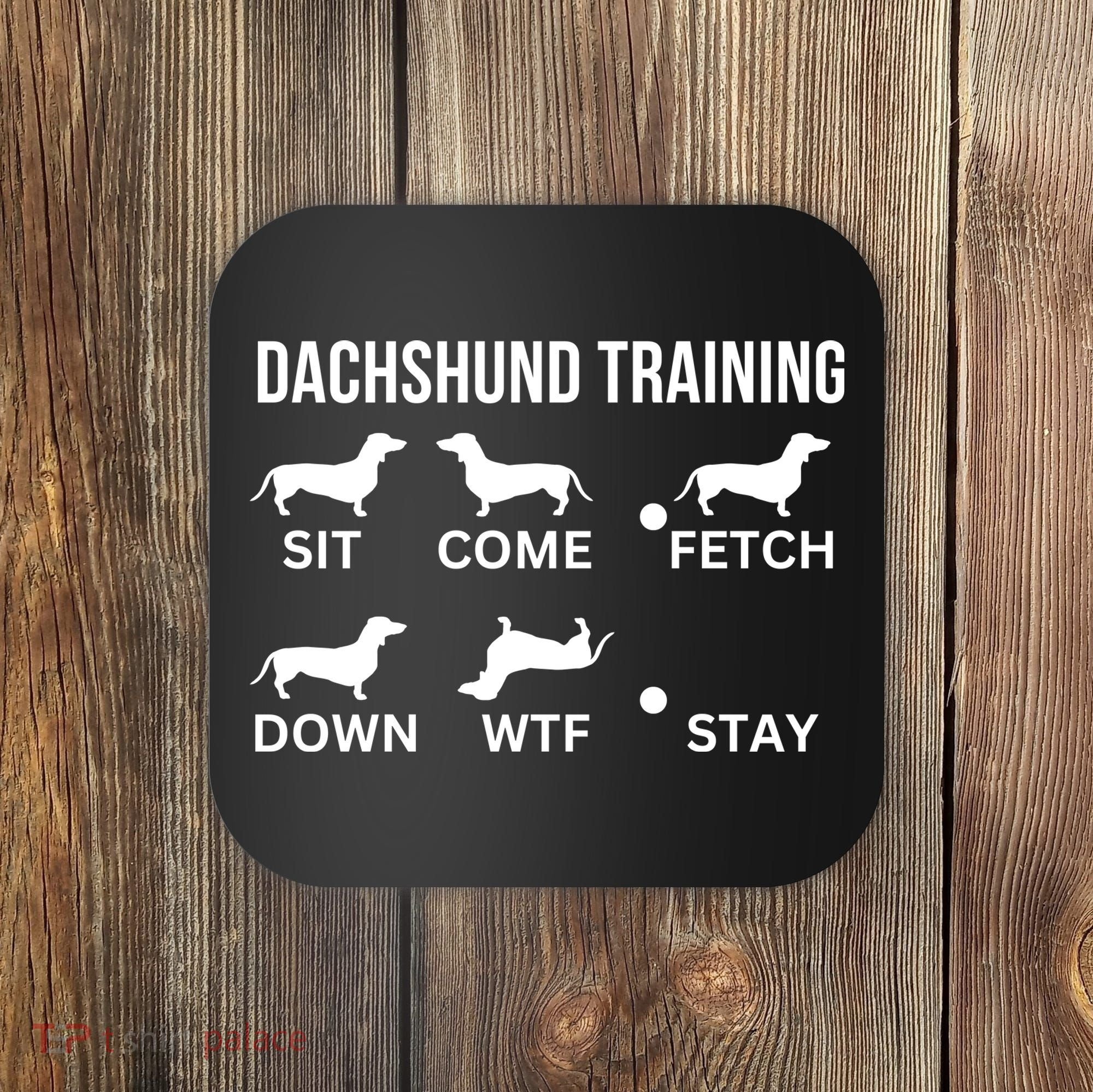 Dachshund Training Dachshund Dog Tricks Coaster