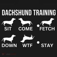 Dachshund Training Dachshund Dog Tricks Toddler Hoodie thumb 2