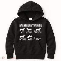 Dachshund Training Dachshund Dog Tricks Kids Hoodie thumb 0