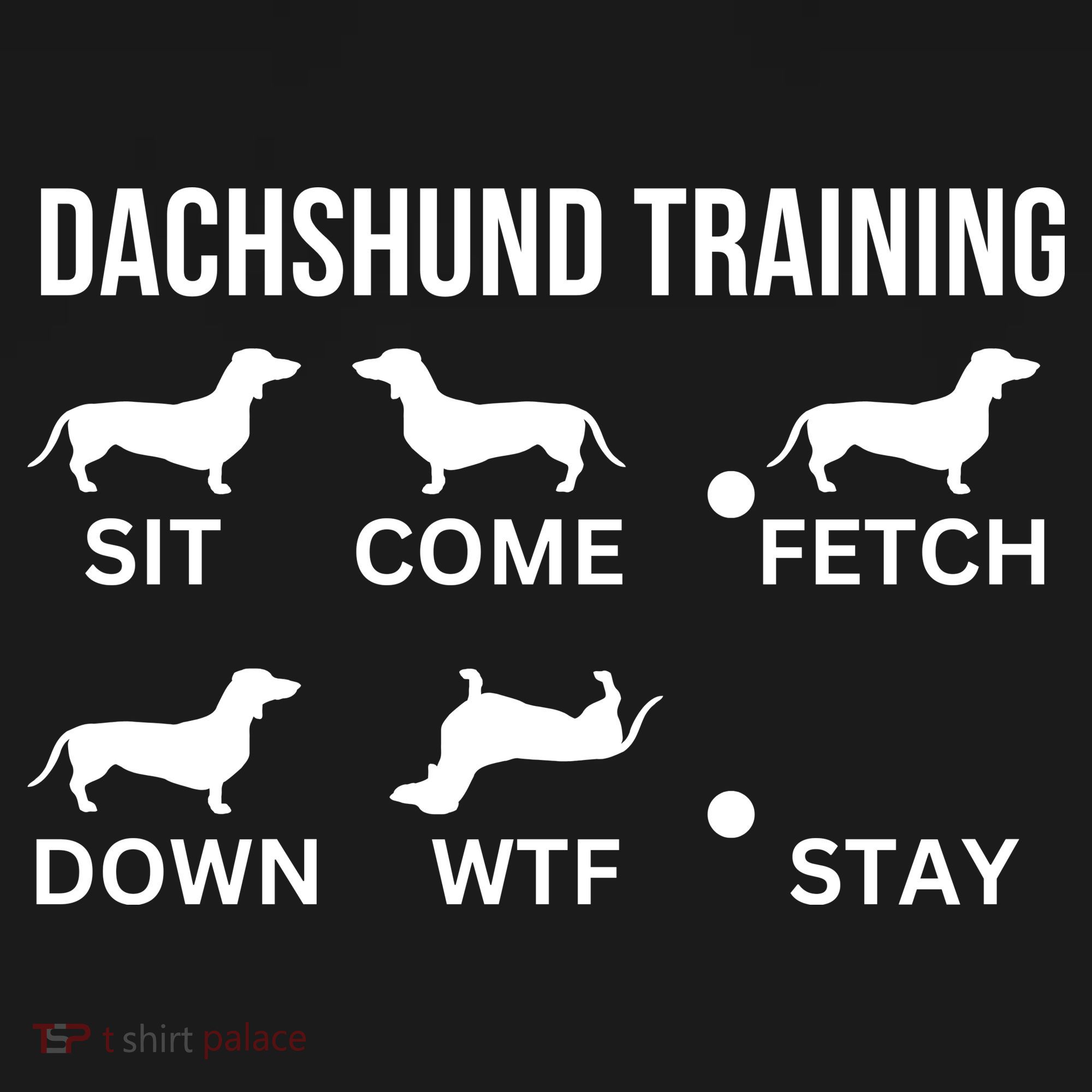 Dachshund Training Dachshund Dog Tricks Kids T-Shirt