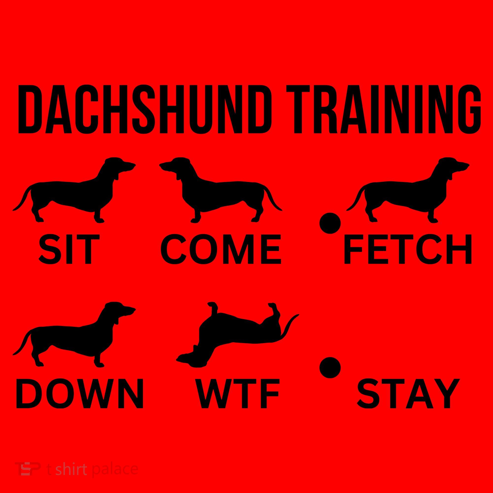 Dachshund Training Dachshund Dog Tricks Santa Hat